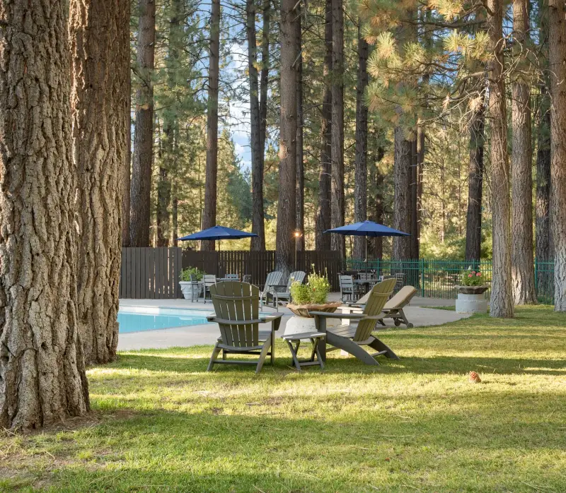 Adirondack chairs on the lawn beside the pool under tall pines at Chateau Big Bear