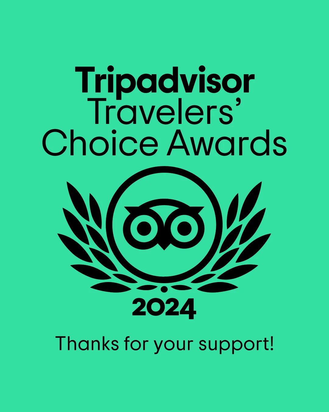 Chateau Big Bear: Tripadvisor Travelers’ Choice 2024